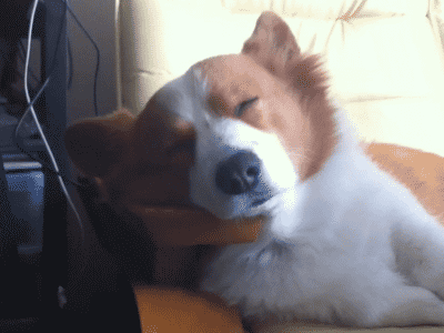 a4b3264090c178174449a443e26c1d5b.gif