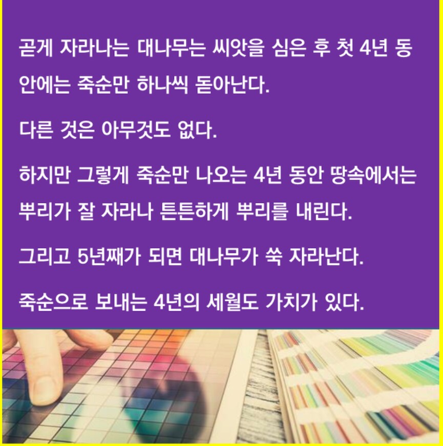 대나무.jpg