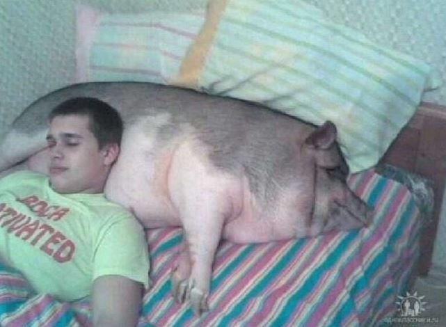 image.JPG