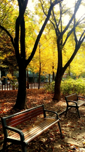 autumn.JPG
