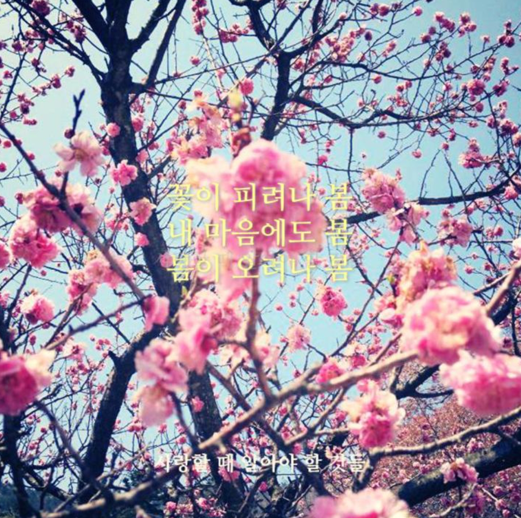 flower.JPG