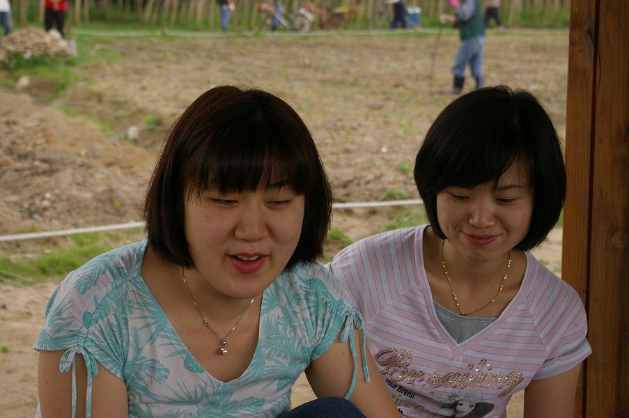 IMGP1152.JPG