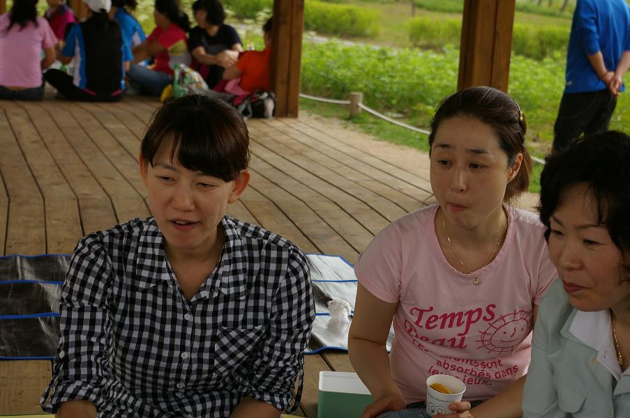 IMGP1151.JPG
