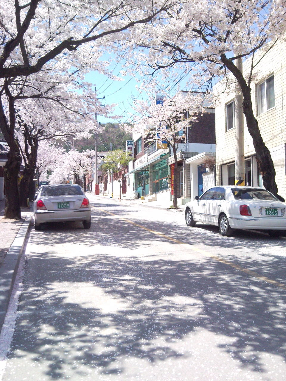 P110417002.jpg