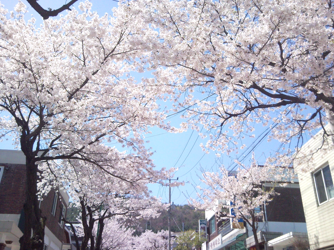 P110417001.jpg