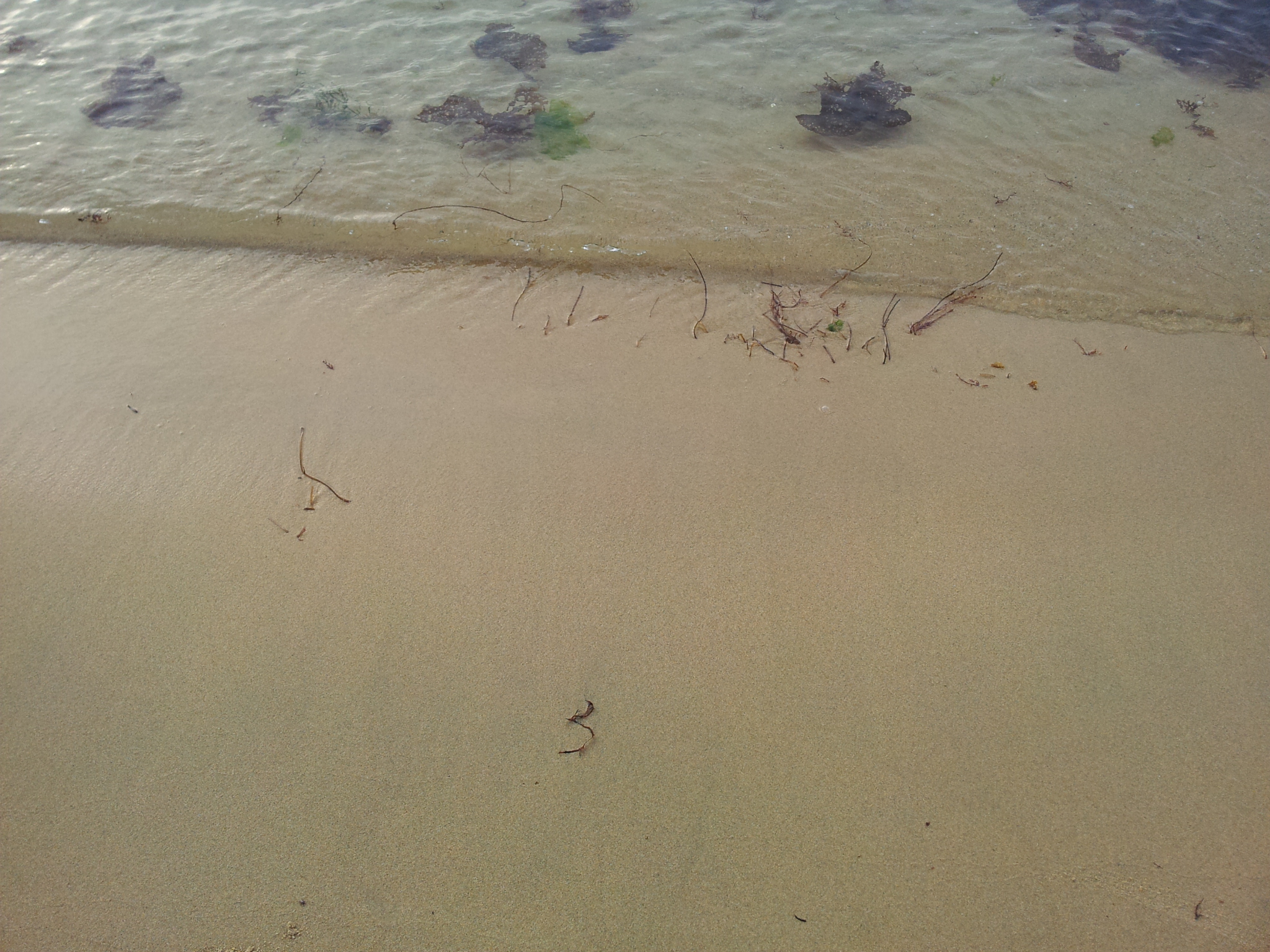 2011-05-28 18.16.02.jpg
